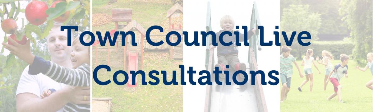 Town Council Live Consultations