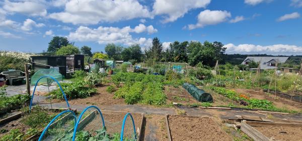Photo Gallery Image - Churchtown Allotments 