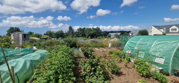 Photo Gallery Image - Churchtown Allotments 2nd section