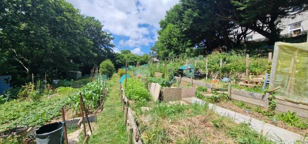 Photo Gallery Image - Fairmead Allotment lower section