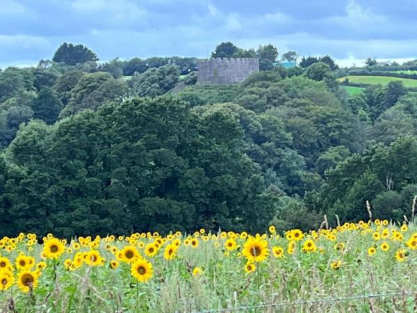 Photo Gallery Image - Trematon Castle